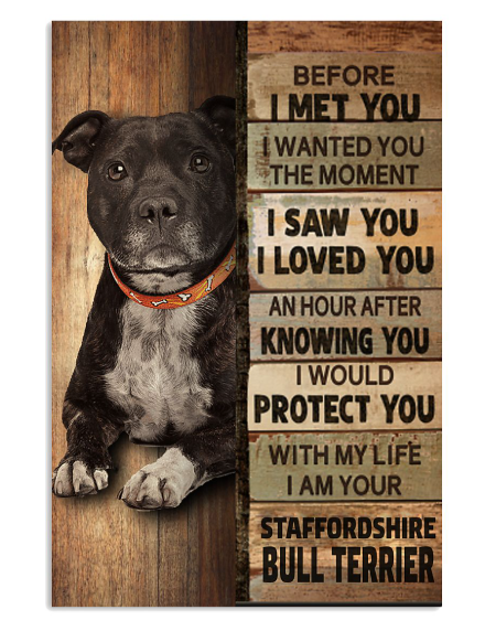 Staffordshire Bull Terrier before I met you I wanted you the moment poster
