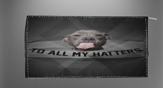 Pittbull to all my hatters face mask
