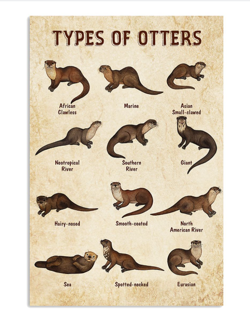 Types of otters poster