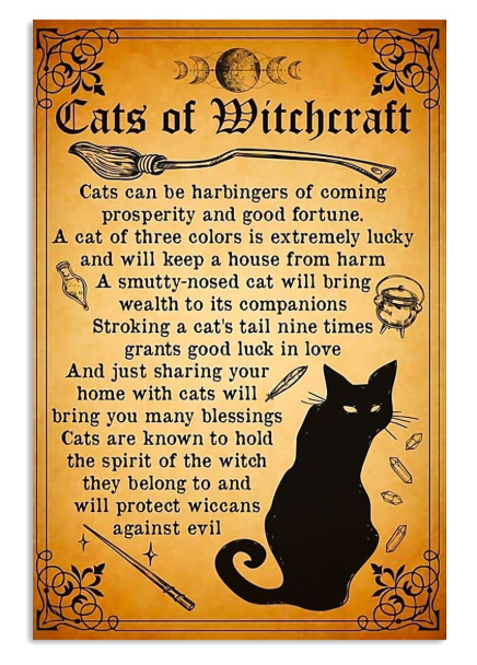 Cats of witchcraft poster