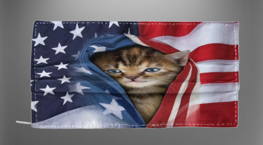Cat American flag face mask