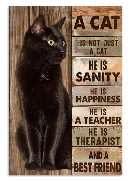 A cat is not just a cat he is sanity poster