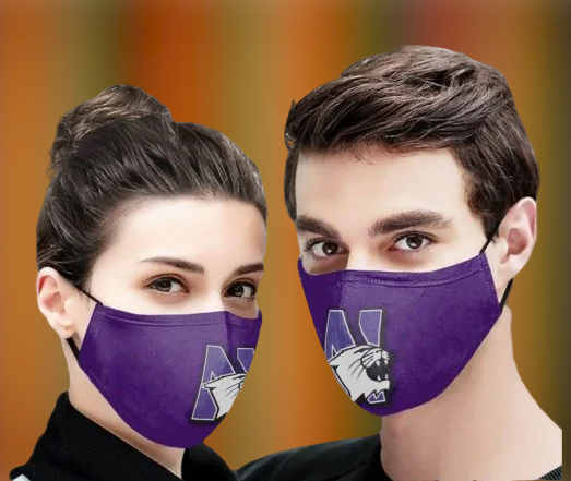 Northwestern Wildcats football face mask