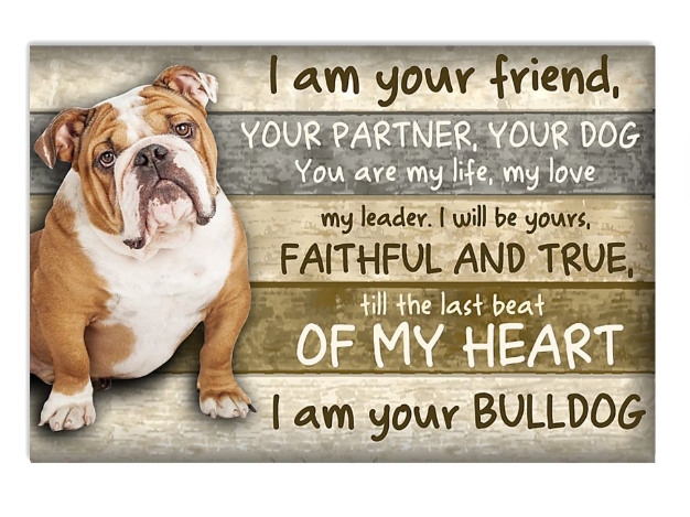 Bulldog I am your friend your partner your dog poster