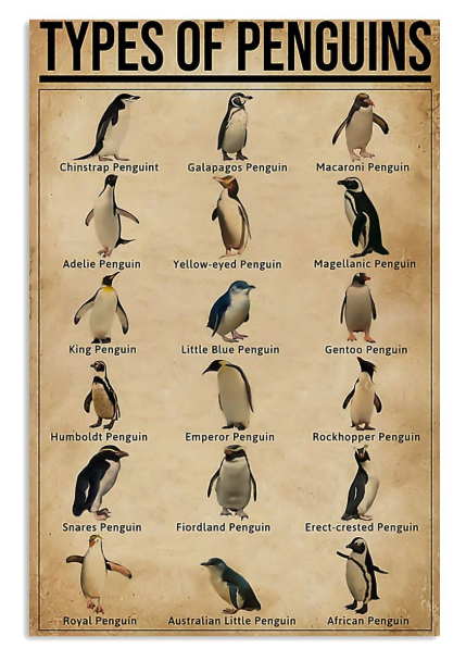 Types of penguins poster