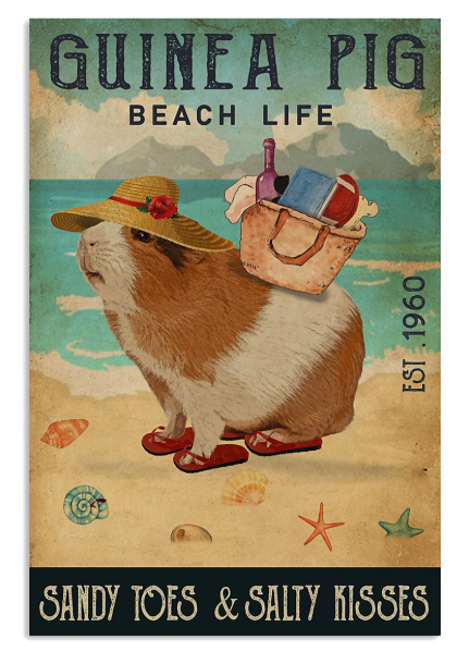Guinea pig beach life sandy toes and salty kisses poster