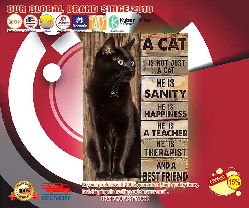 A cat is not just a cat he is sanity he is happiness poster