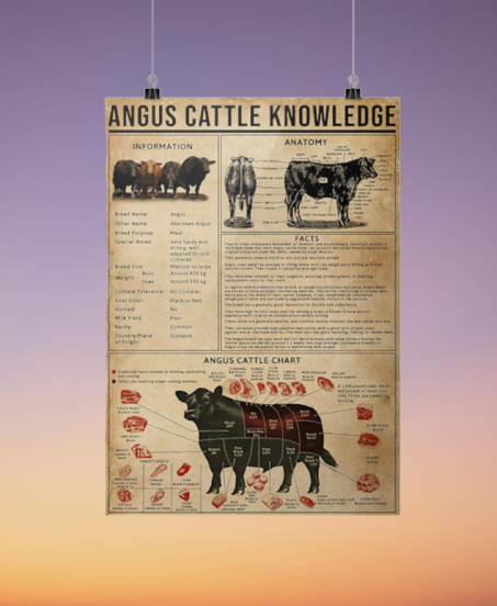 Angus cattle knowledge poster