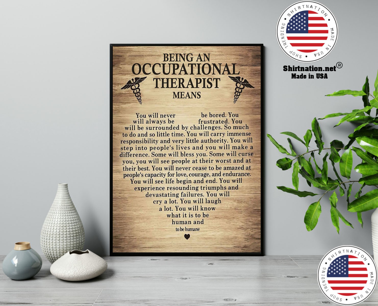 Being an occupational therepist means poster 13