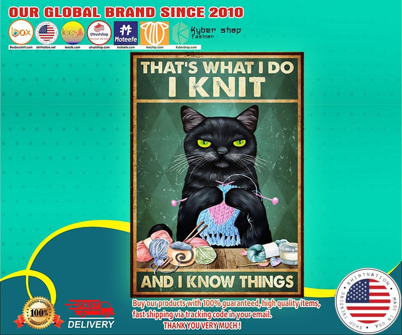 Black cat that's what I do I knit and I know things poster