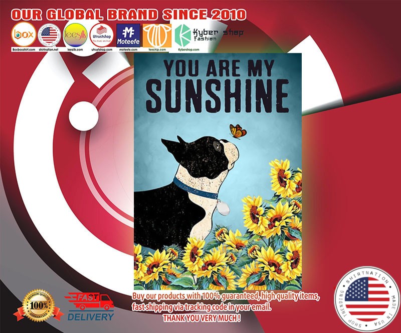 Boston terrier puppies you are my sunshine poster