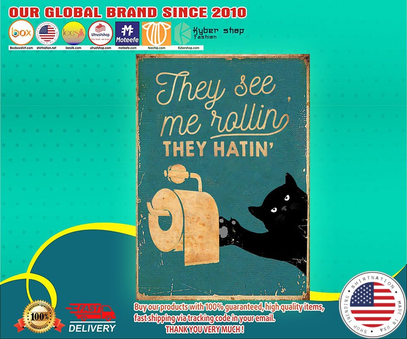 Cat They see me rolling they hatin' poster