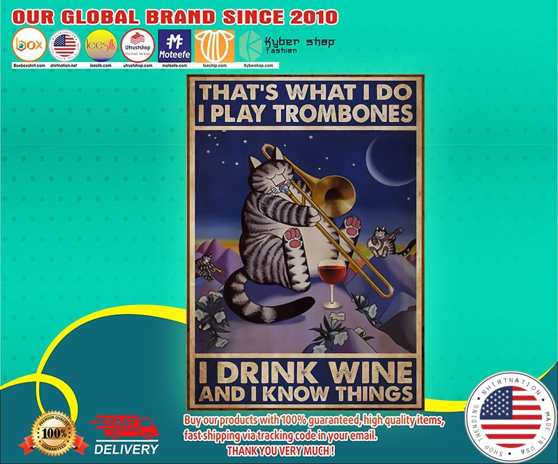 Cat that's what I do I play trombones I drink wine and I know things poster