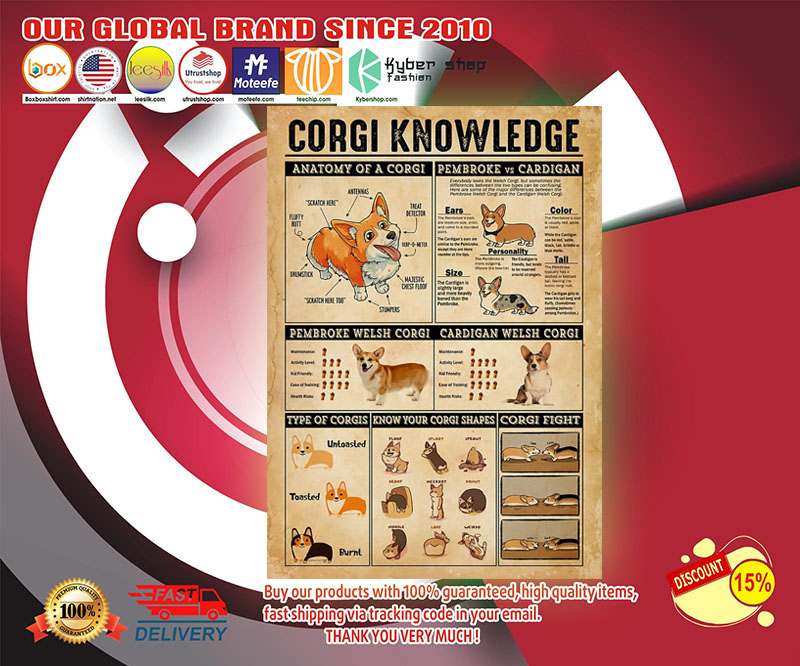 Corgi knowledge poster