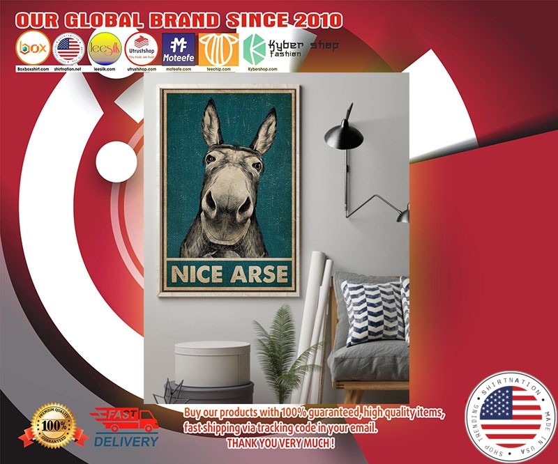 Donkey Nice Arse Poster