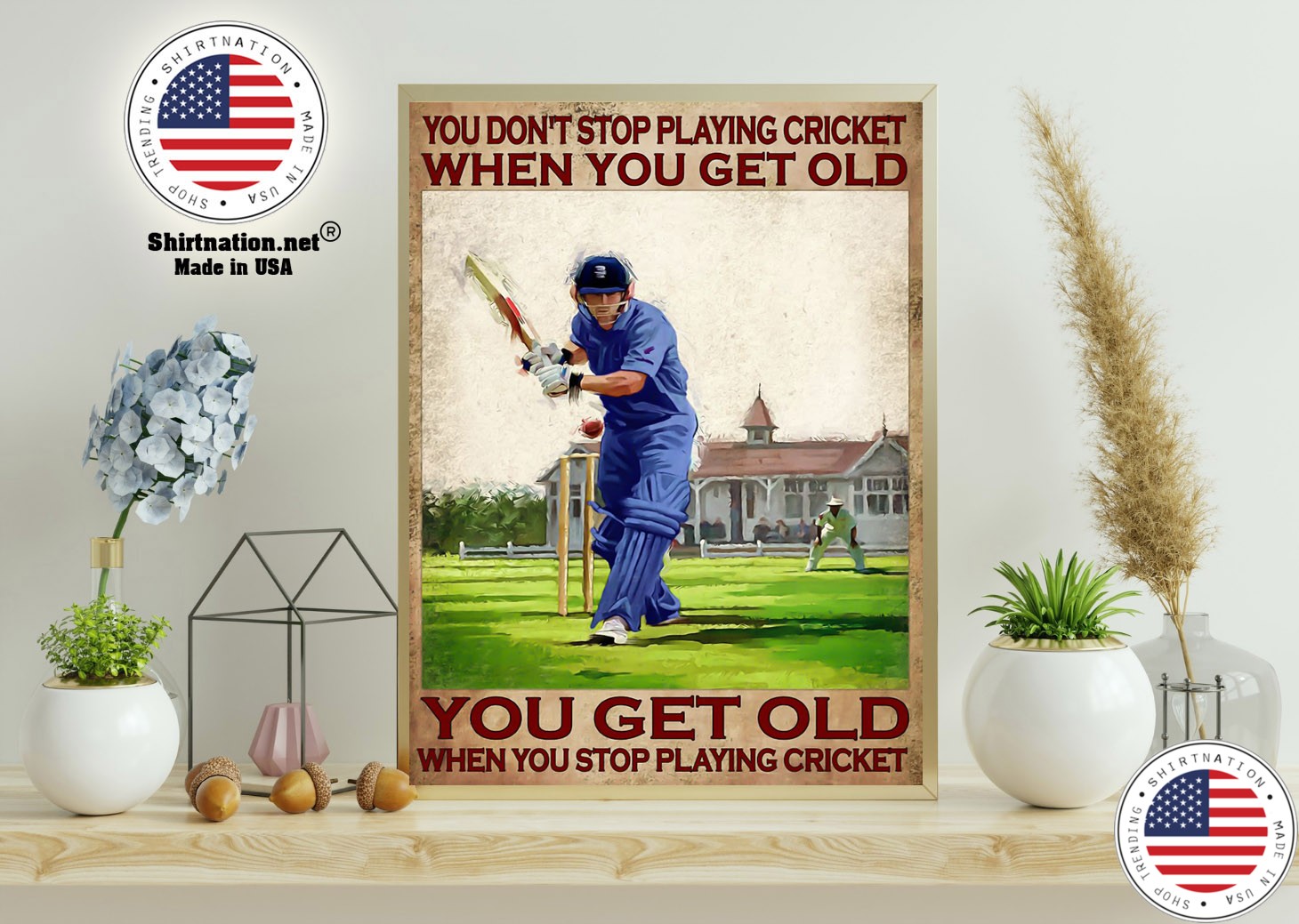 You dont stop playing cricket when you get old poster 15 1