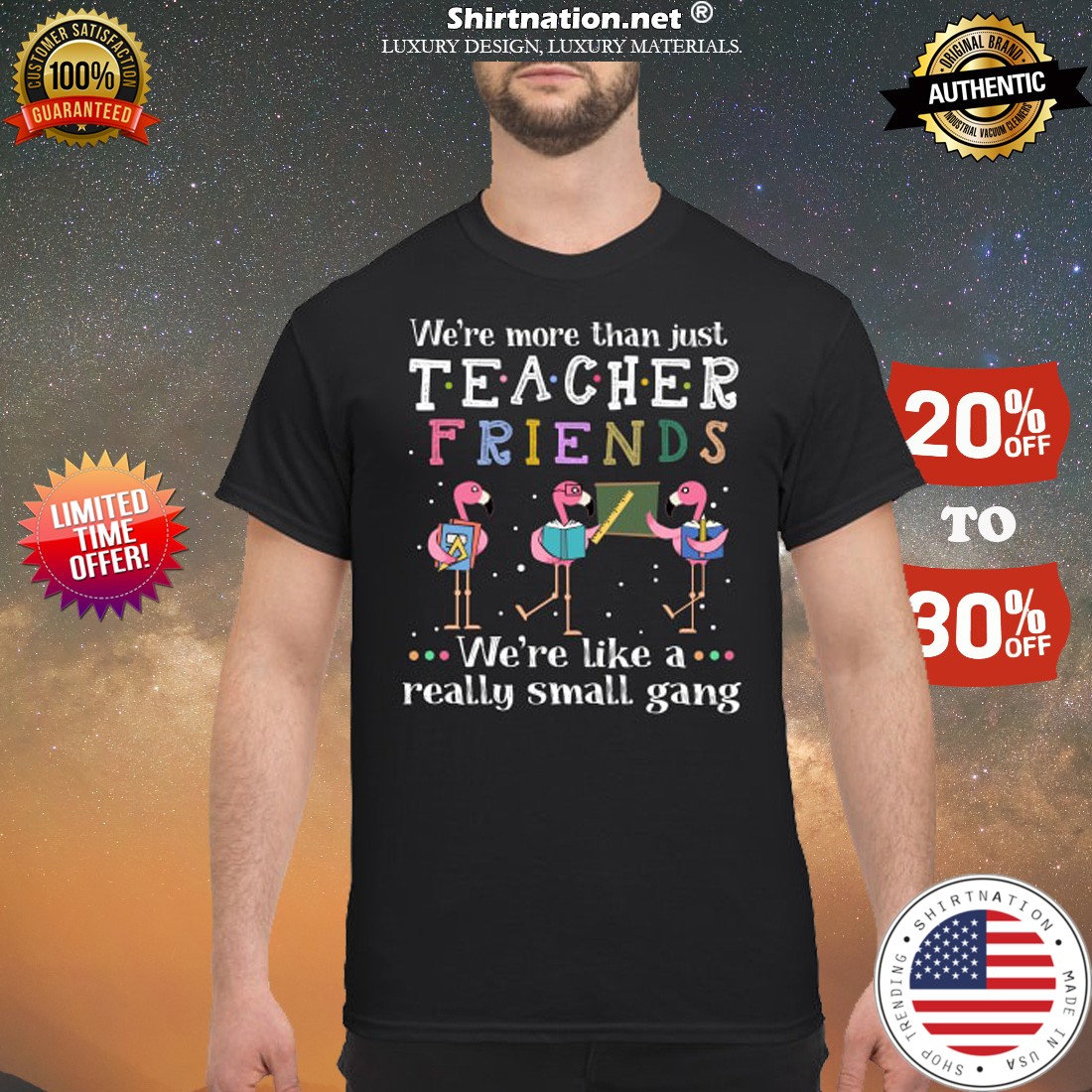 Flamingo we are more than just teacher we are like a small gang shirt