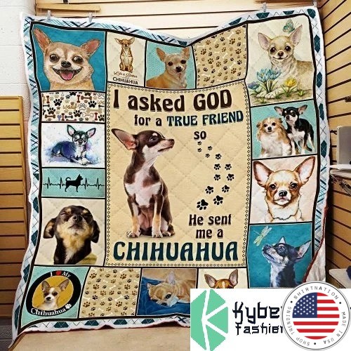I asked god for a true friend so he sent me a chihuahua blanket