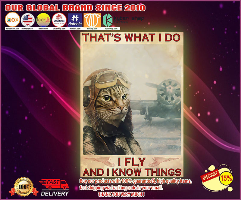 Cat that's what I do I fly and I know things poster