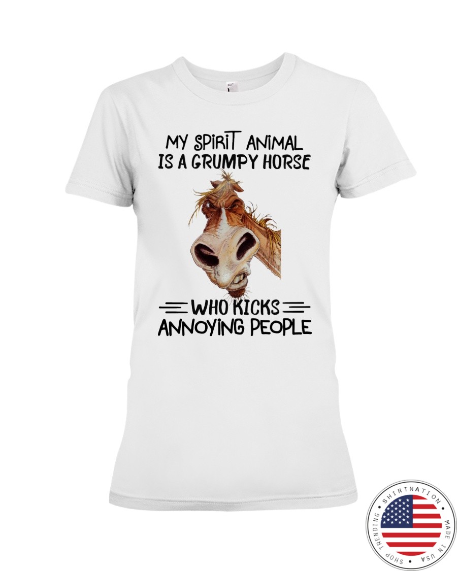 My Spirit Animal Is A Grumpy Horse Who Kicks Annoying People Shirt2