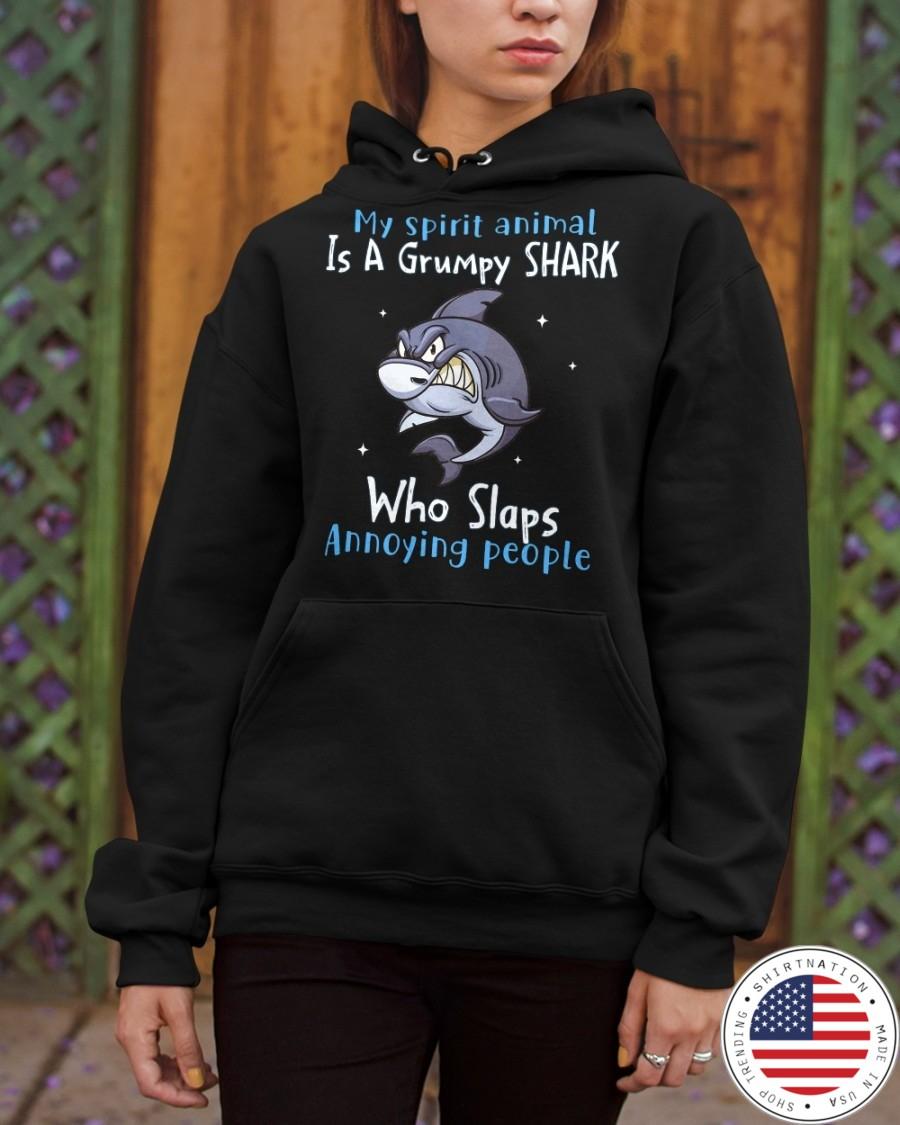 My spirit animal is a grumpy shart who slaps annoying people shirt hoodie