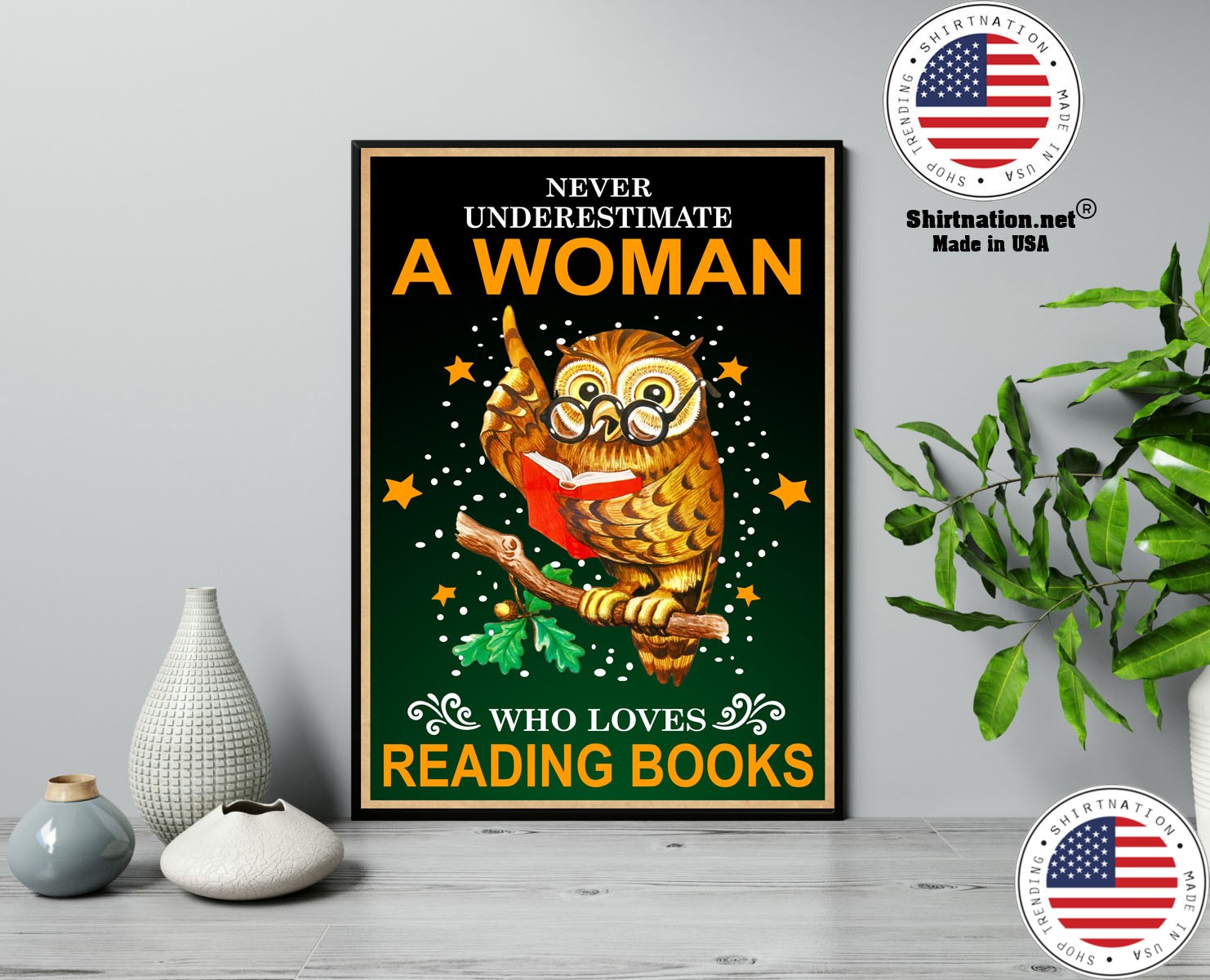 Owl Never underestmate a woman who loves reading books poster 13
