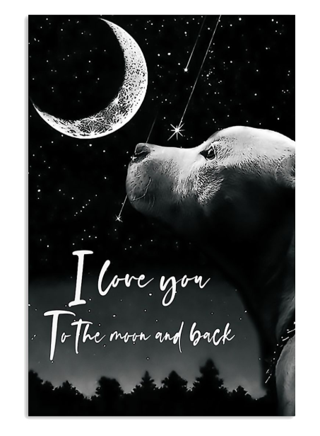 Pitbull love you to the moon and back poster