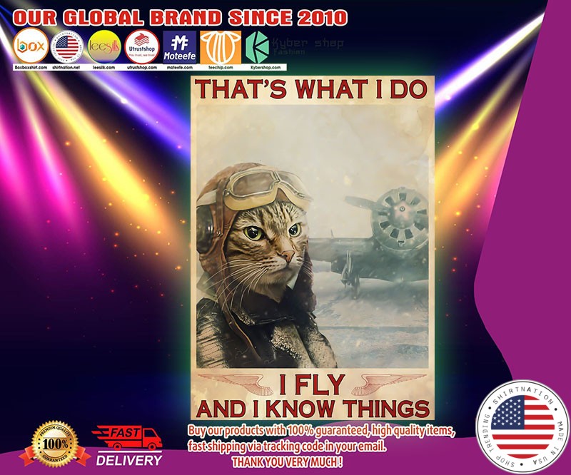 Cat that's what I do I fly and I know things poster
