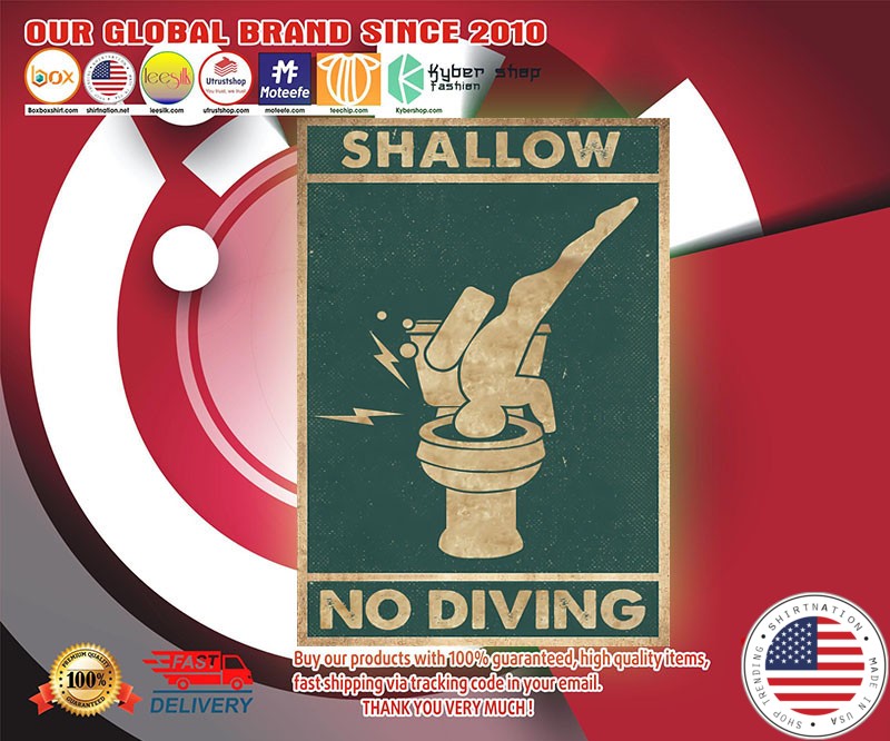 Shallow no diving poster