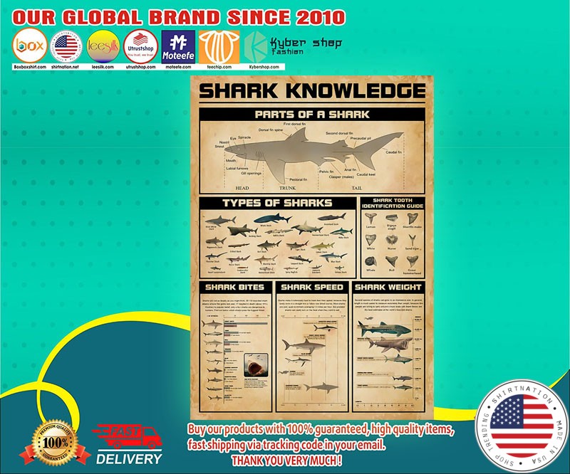 Shark knowledge poster