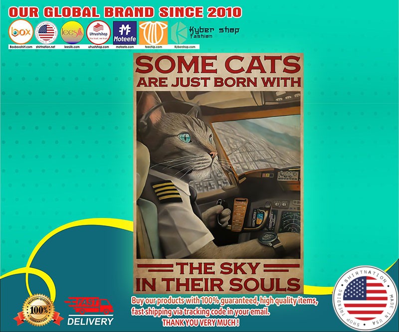 Some cats are just born with the sky in their souls poster