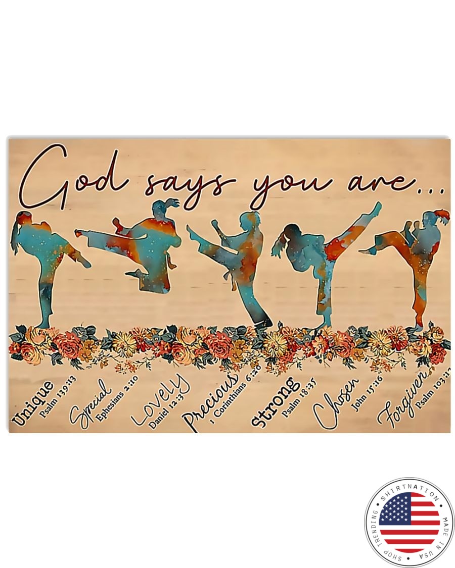 Taewondo god says you are poster