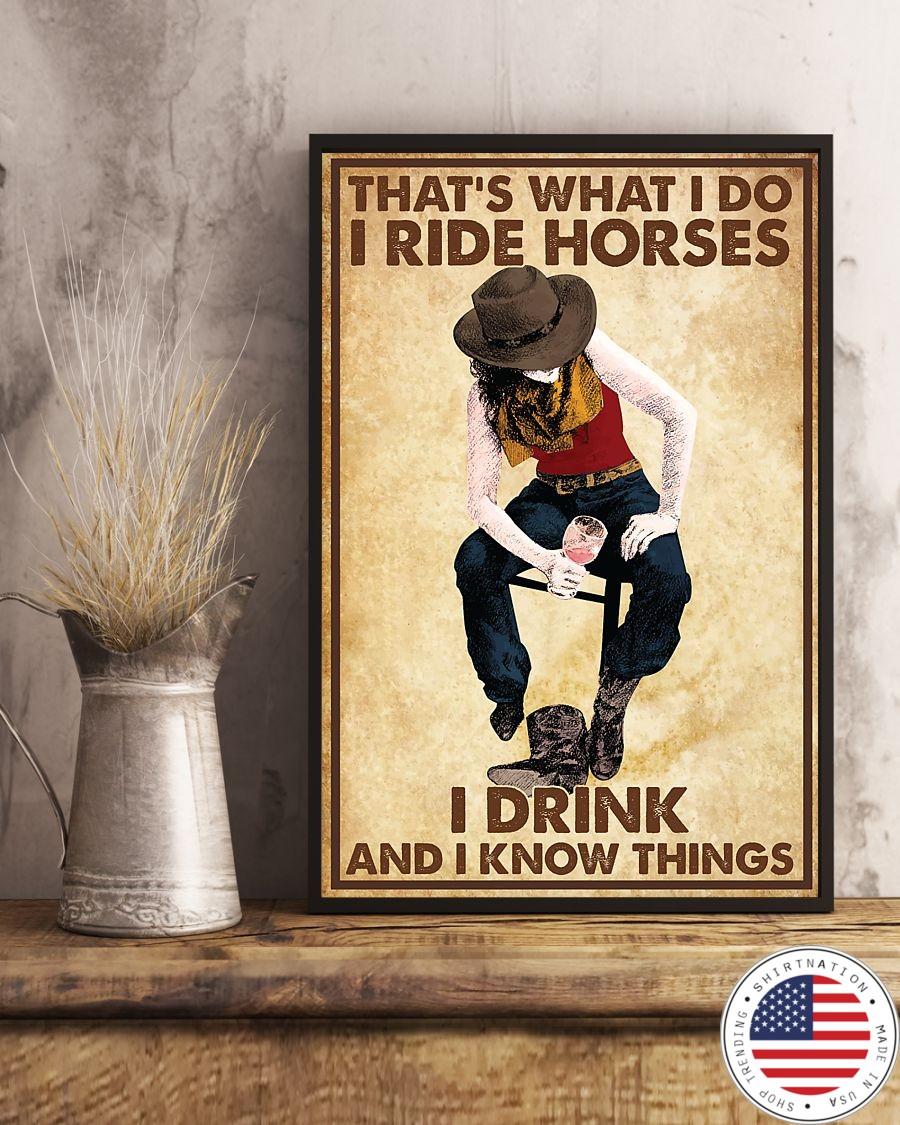 That's what I do I ride horses I drink and I know things poster