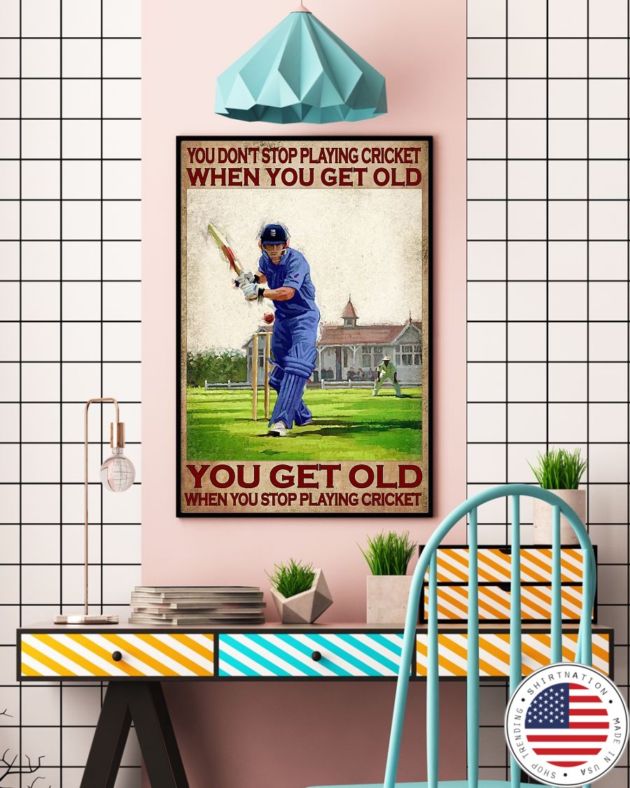 You dont stop playing cricket when you get old poster3