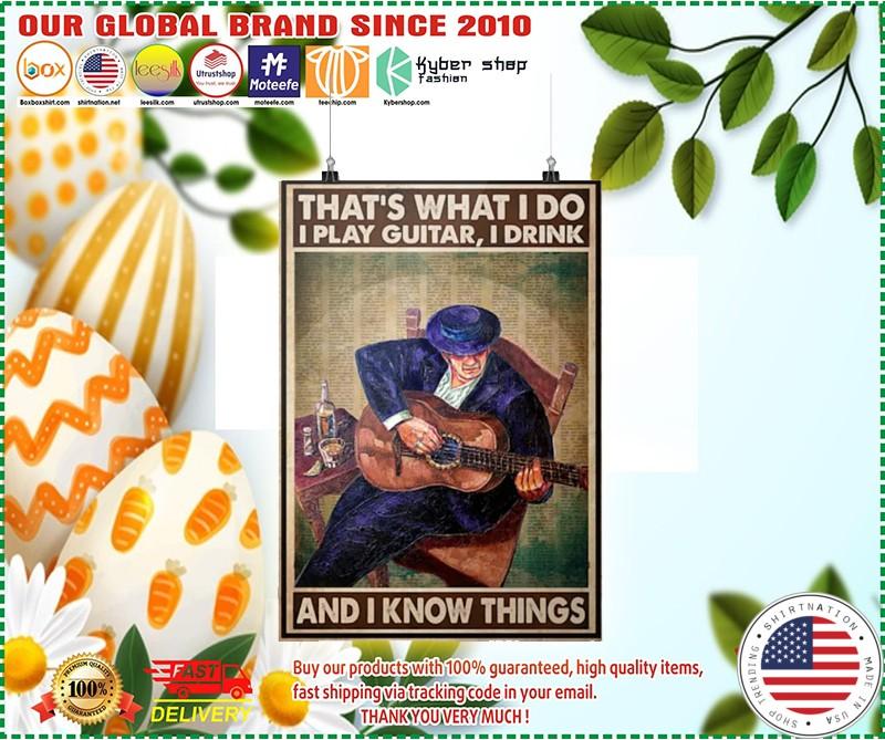 Thats what I do I play guitar I drink and I know things poster 1