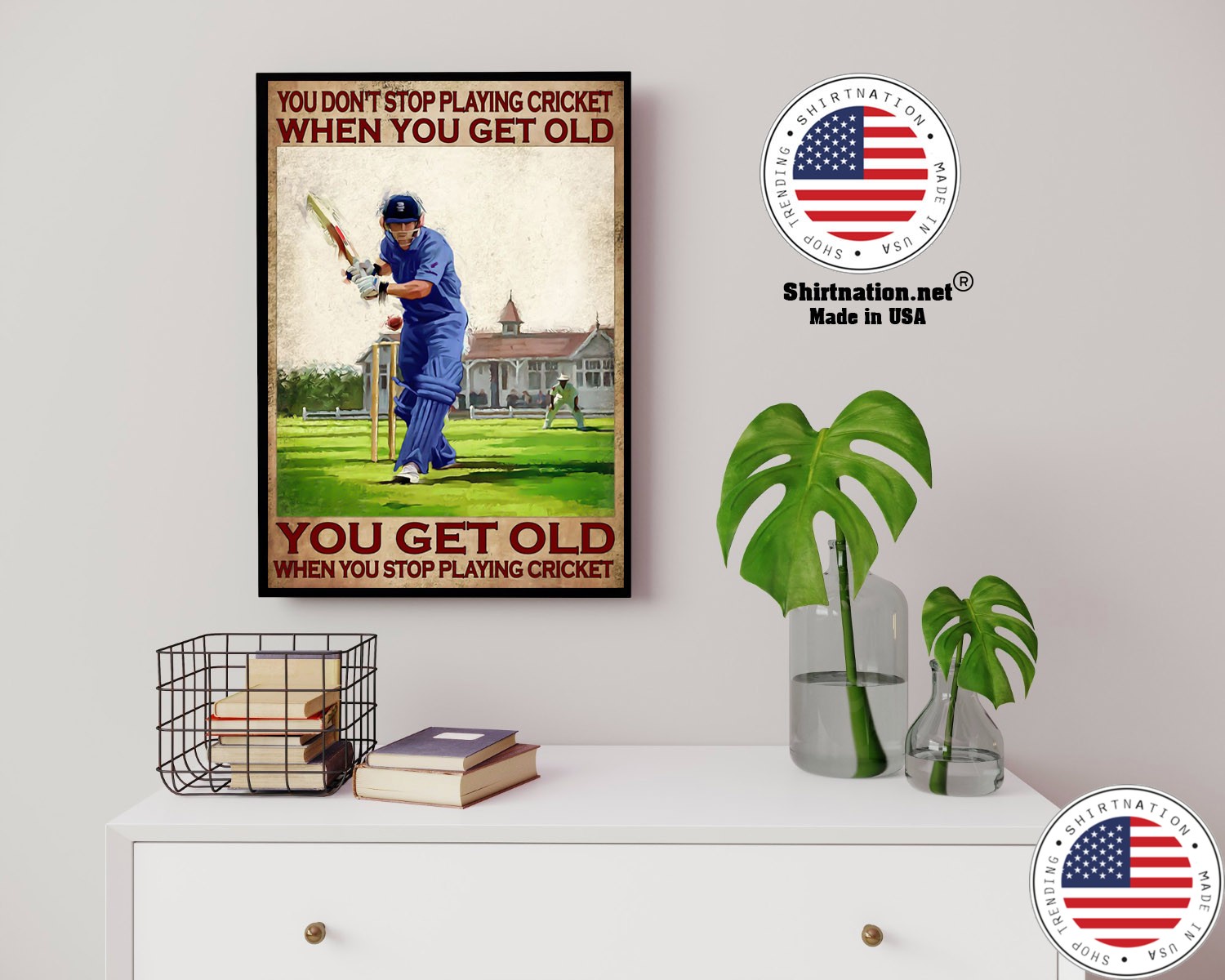 You dont stop playing cricket when you get old poster 14