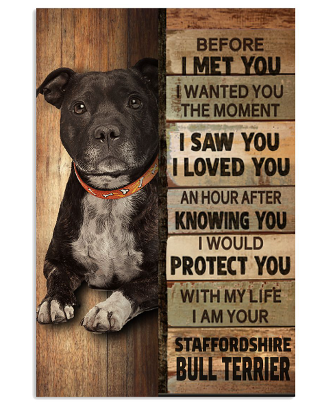 Bull Terrier dog before I met you I wanted you the moment poster