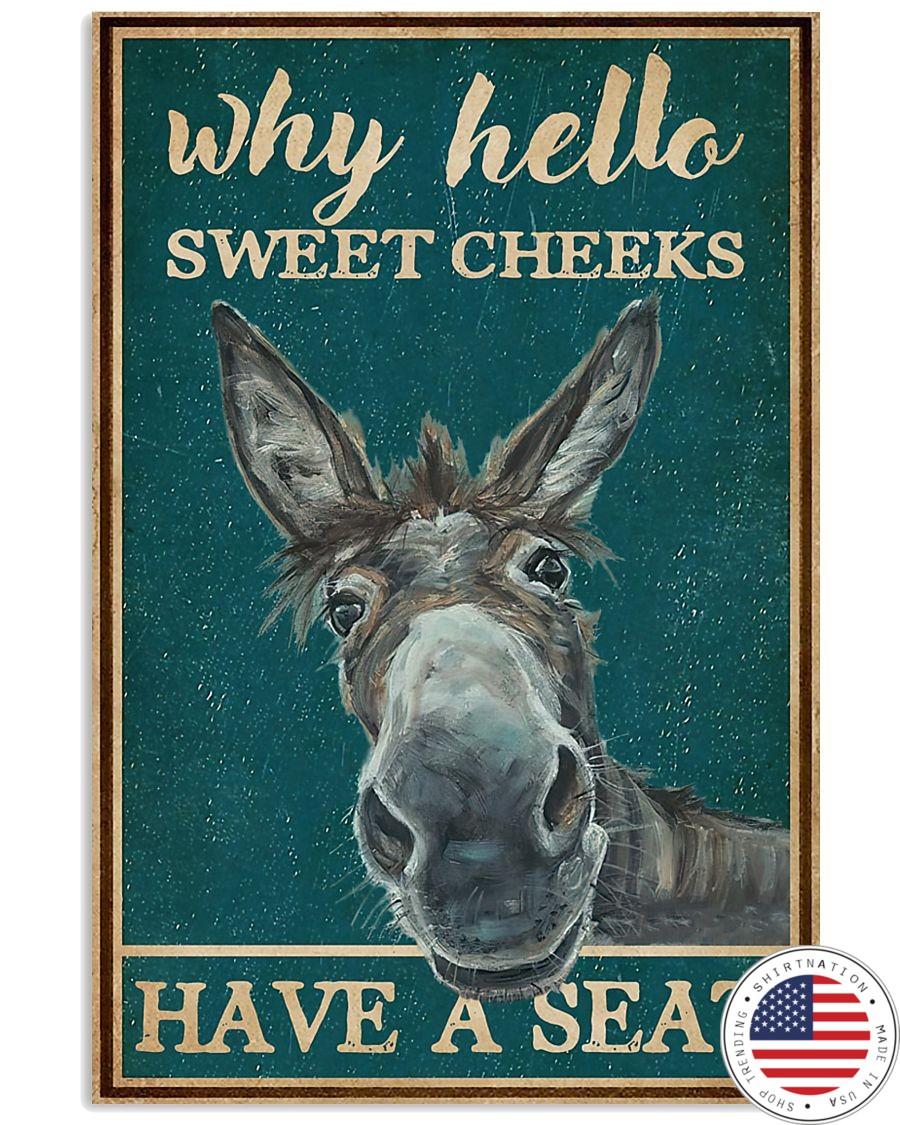 Donkey Why hello sweet cheeks have a seat poster