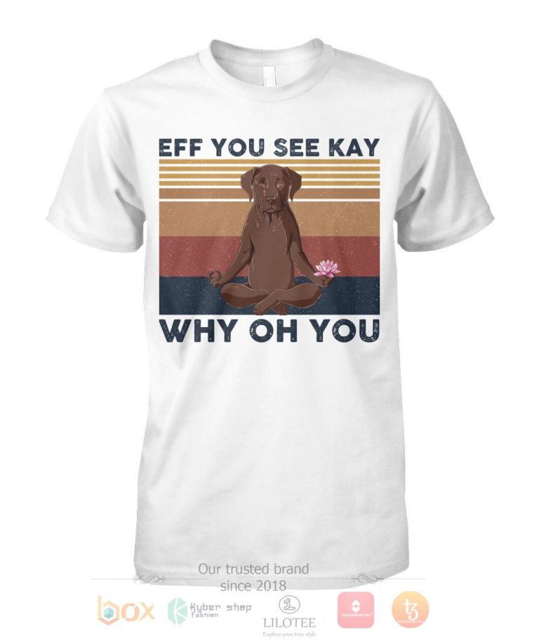 Labrado Yoga Eff You See Kay Why Oh You 3D Hoodie Shirt 1 2