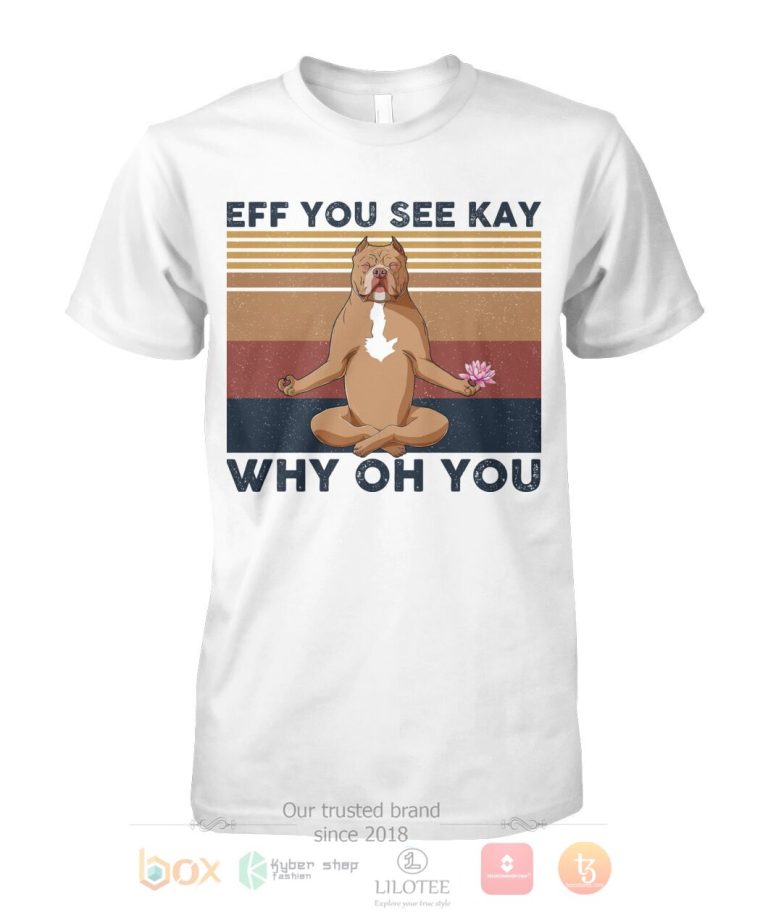 Pitbull Yoga Eff You See Kay Why Oh You 3D Hoodie Shirt 1 2