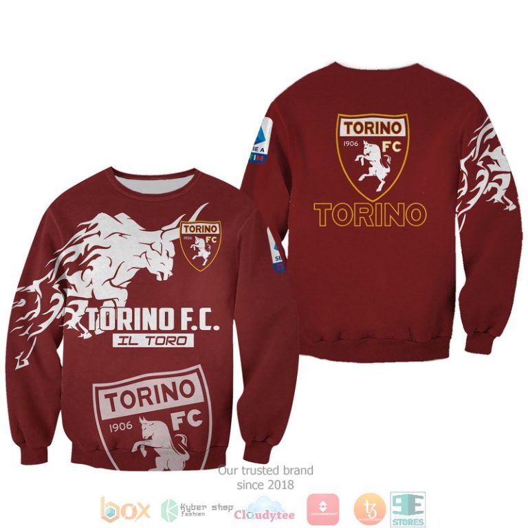 Torino FC 1906 3d shirt hoodie 1 2