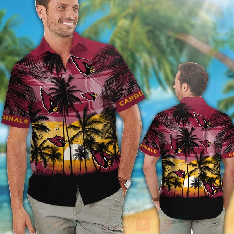 NFL Arizona Cardinals The Sun And The Sea Hawaiian Shirt Short