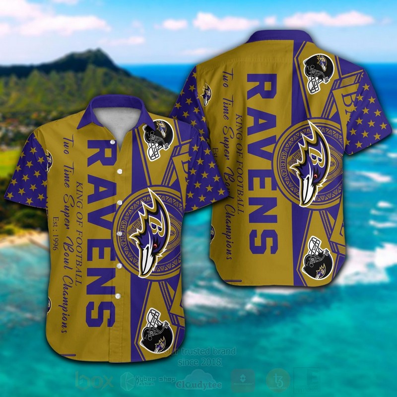 NFL Baltimore Ravens Men Woman Hawaiian Shirt Short 1