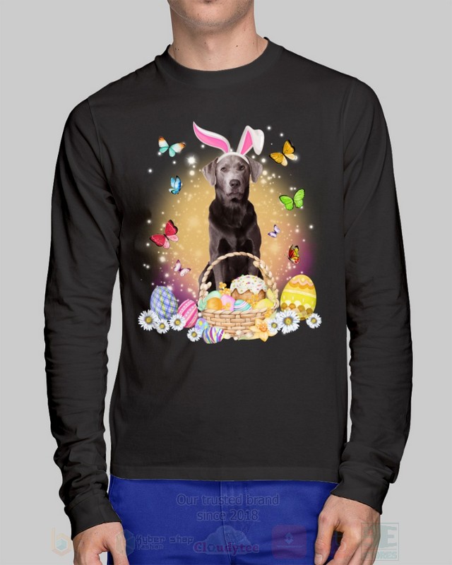 Silver Labrador Easter Bunny Butterfly 2D Hoodie Shirt 1 2 3 4 5 6 7 8 9 10 11 12 13 14 15 16 17 18 19 20 21