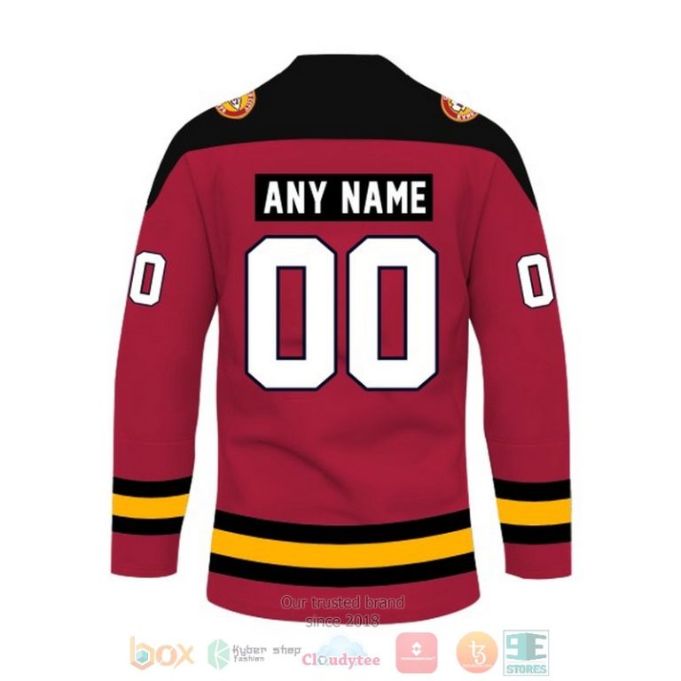 Personalized Arizona Cardinals NFL Custom Hockey Jersey 1 2