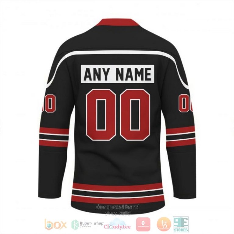 Personalized Houston Texans NFL Custom Hockey Jersey 1 2