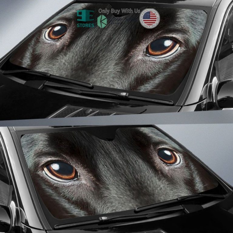 black labrador eyes car sun shade 2 18427