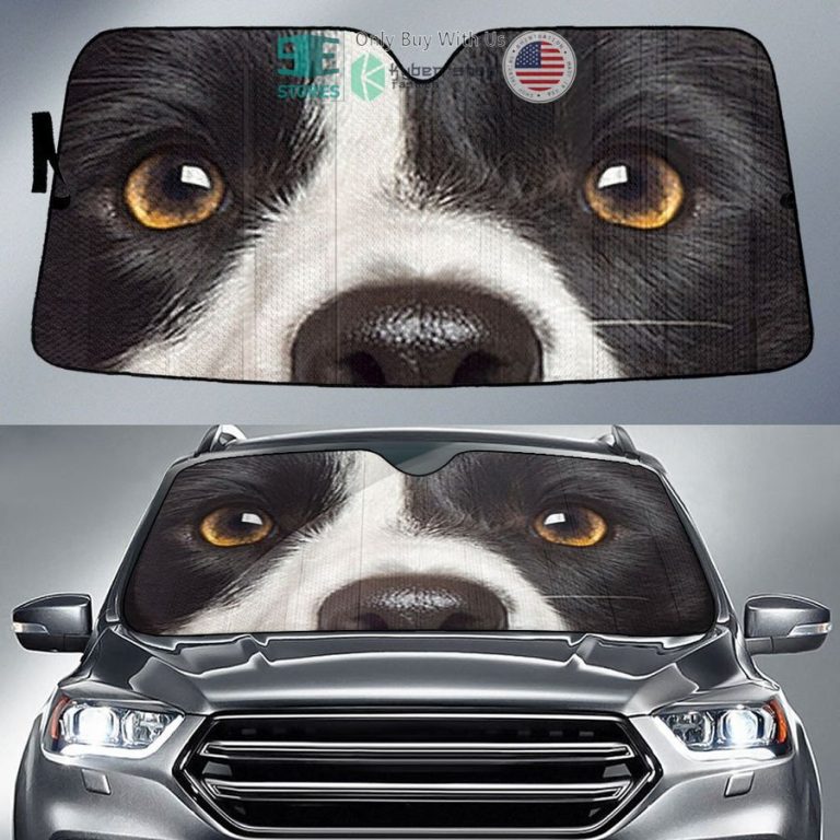 border collie dog eyes car sun shade 1 10452