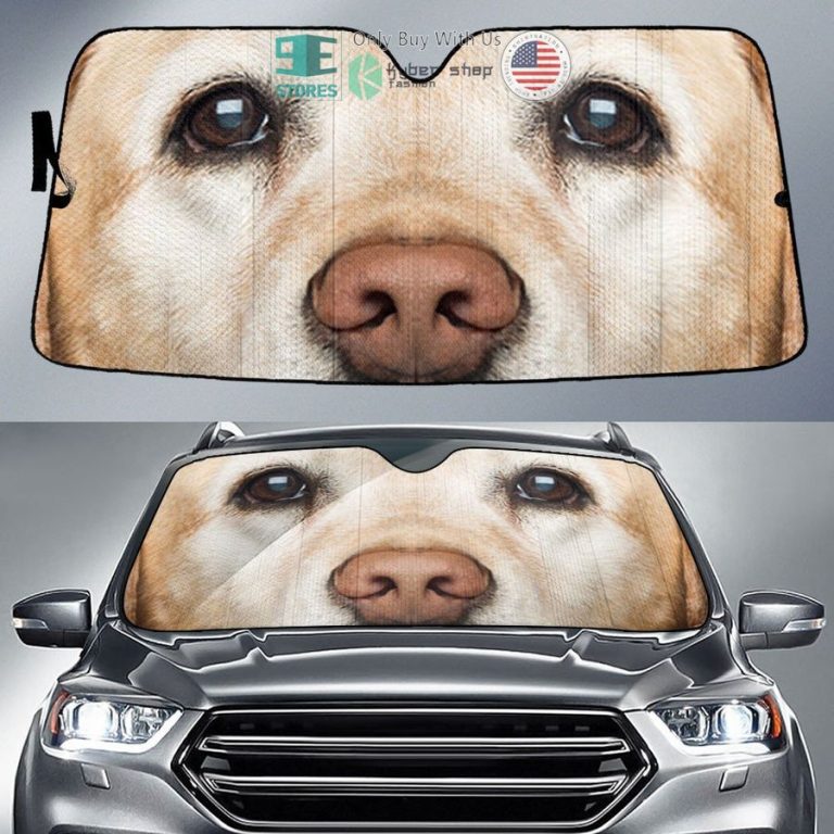 labrador retriever eyes car sun shade 1 76848