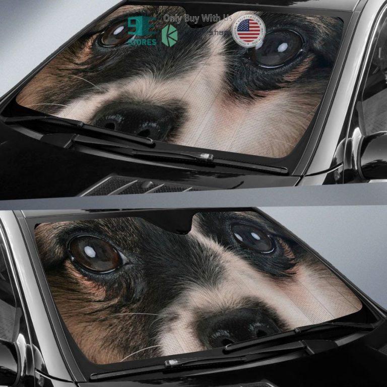 papillon eyes car sun shade 2 8730